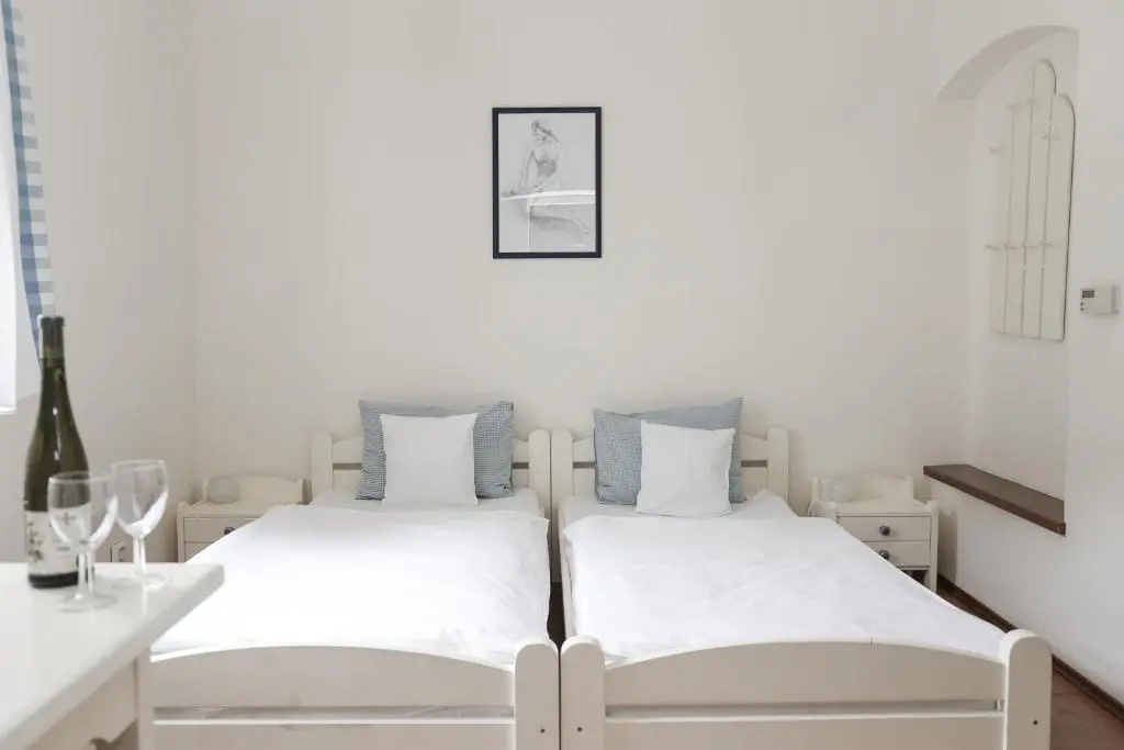 Standard Double room (twin beds)