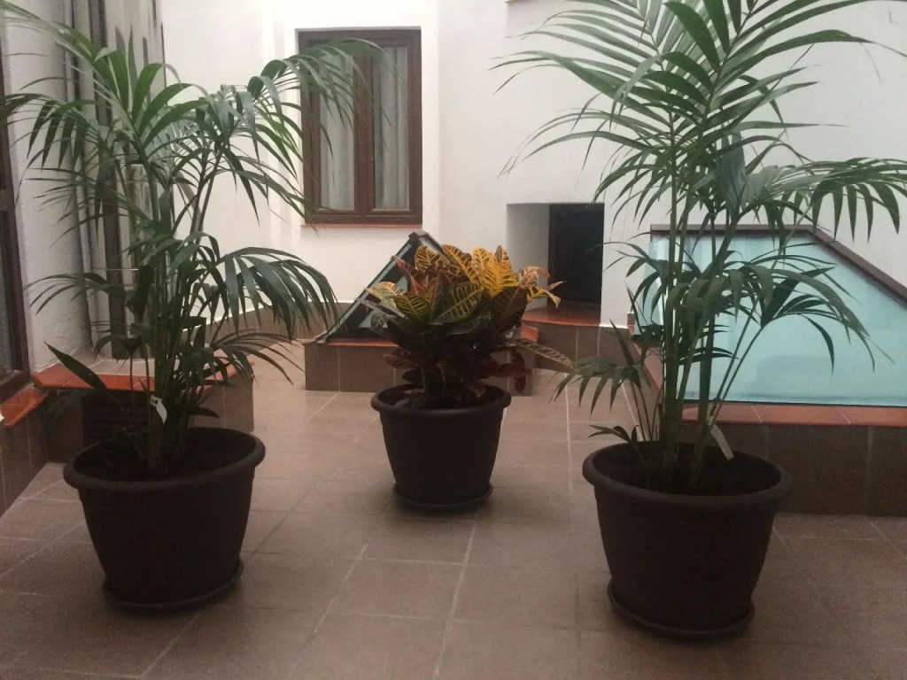 Hotel Castilla Guerrero - Général