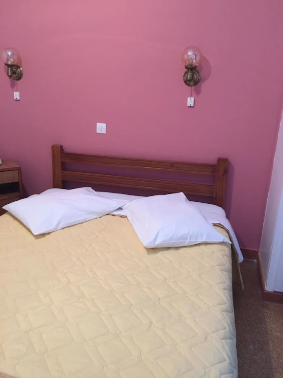 Standard Double room with mountain view (twin beds)