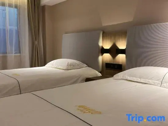 Comfort Double room (twin beds)