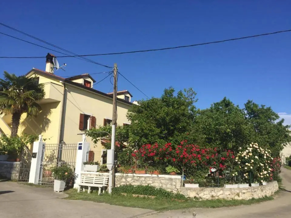 Apartment Violetta