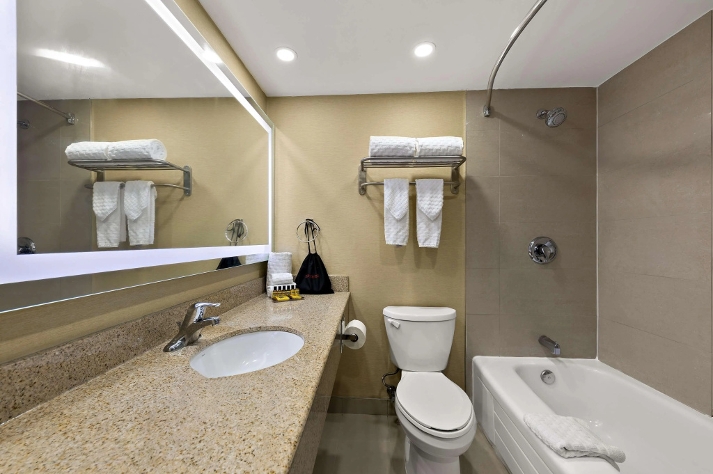 Best Western Plus Toronto North York Hotel & Suites - Général