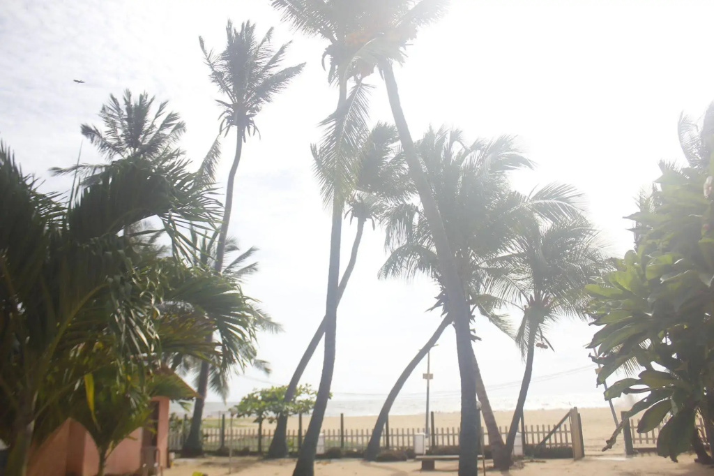 Star Beach Hotel - Général
