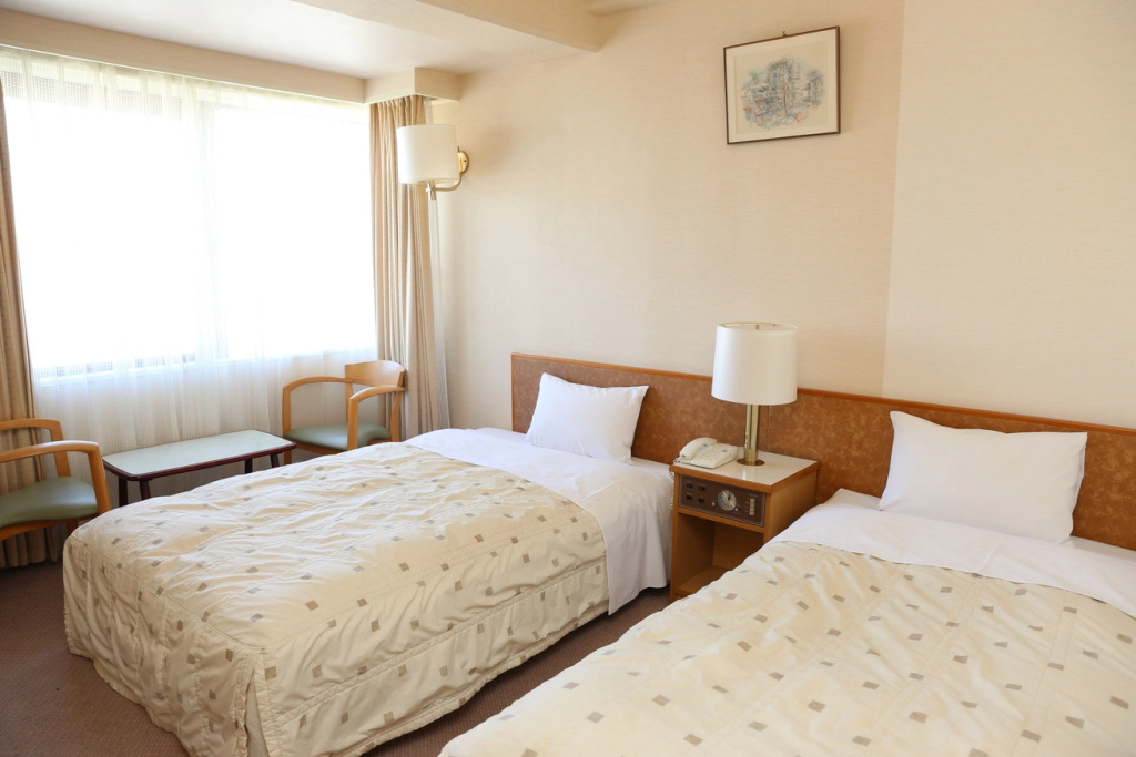 Standard Double room (twin beds)