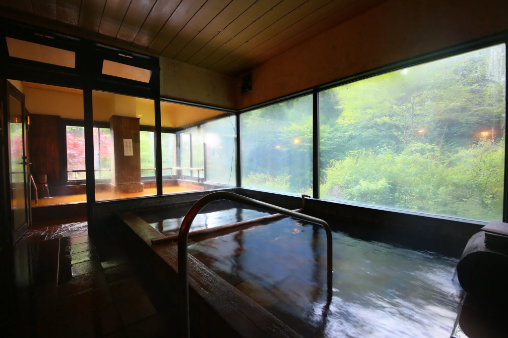 Meiji Onsen Ryokan - Général