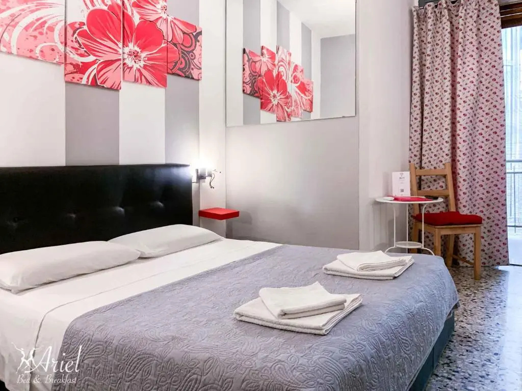 Standard Double room (full double bed)