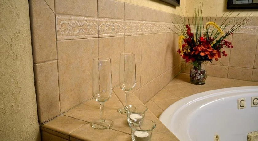 Skaneateles Boutique Hotel - Général
