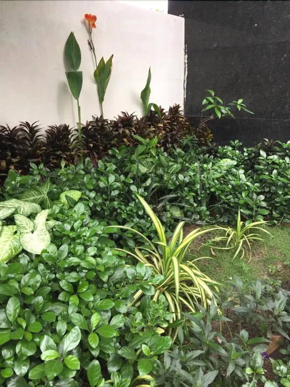 Nup Saigon Homestay - Hostel