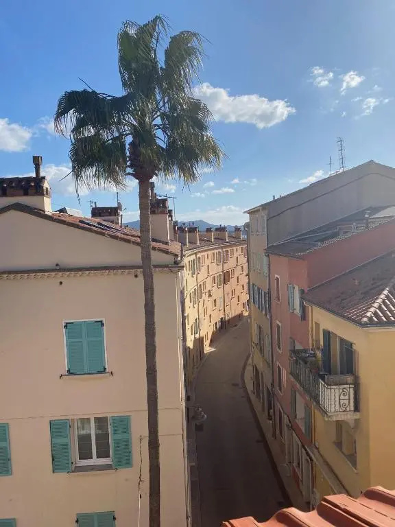 Voir la photo 1 — Pitibi