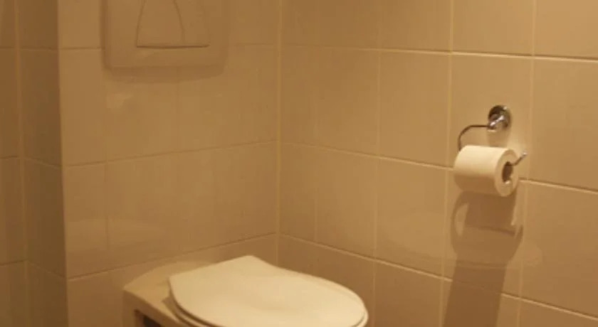 Hotel-Brasserie De Hoogmolen - фото 7