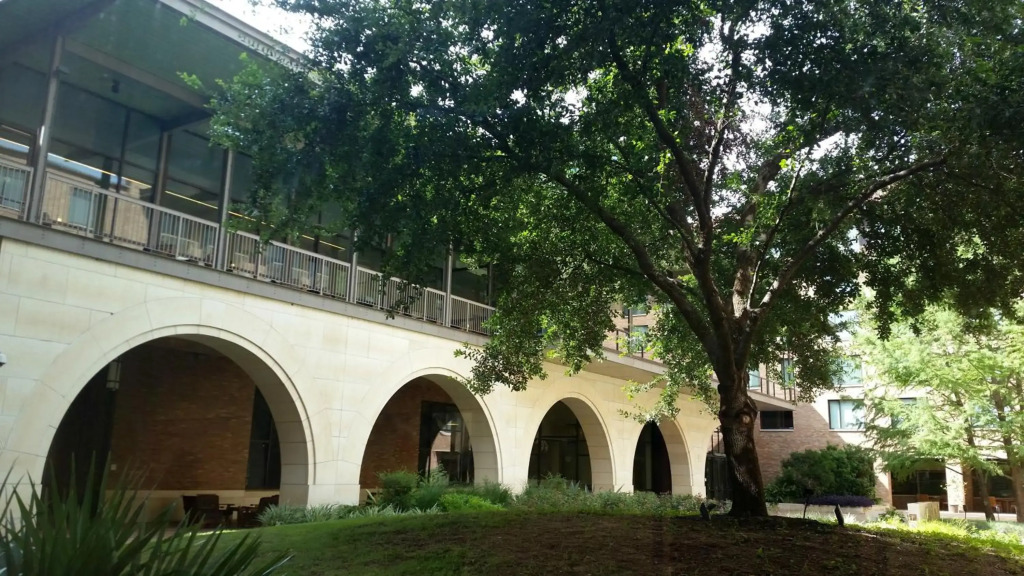 Image 18