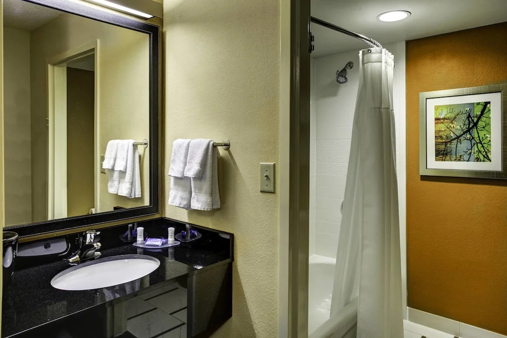 Fairfield Inn & Suites by Marriott Atlanta Suwanee - Chambres