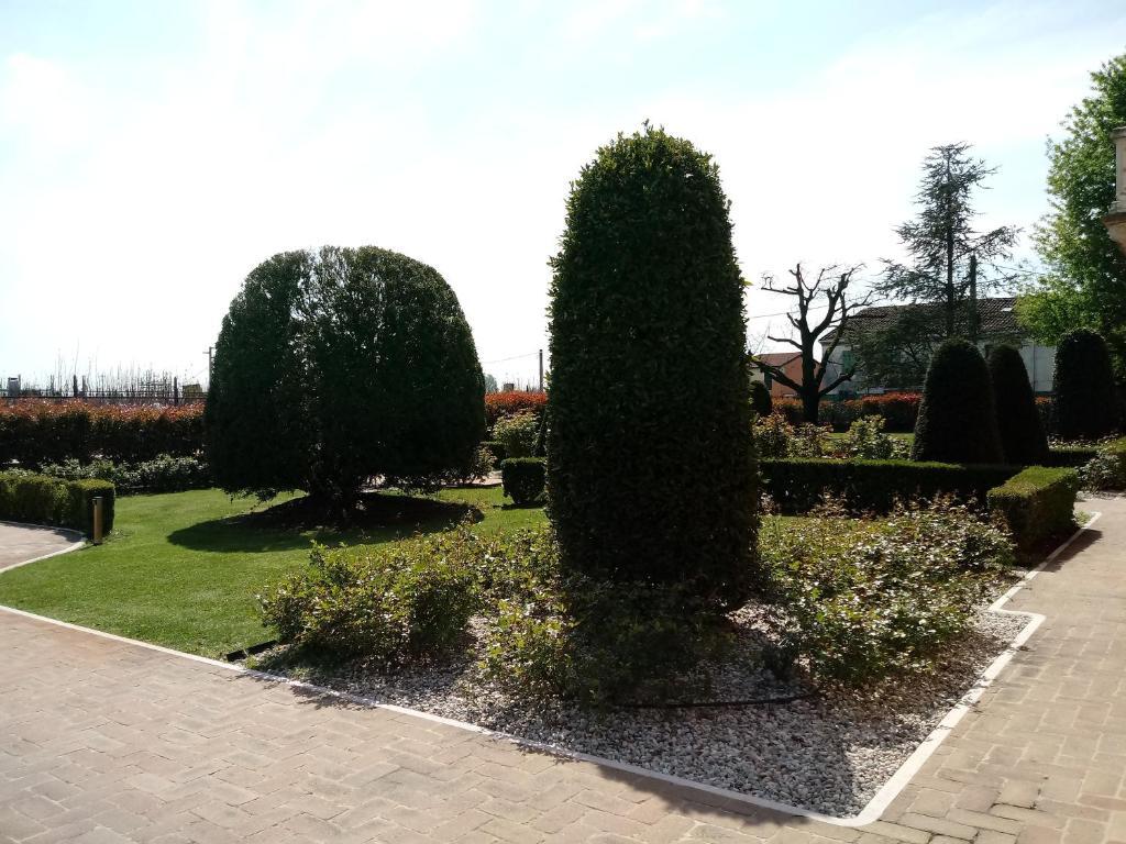 Image 15