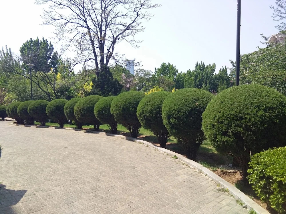 Nanshan Garden Hotel - Général