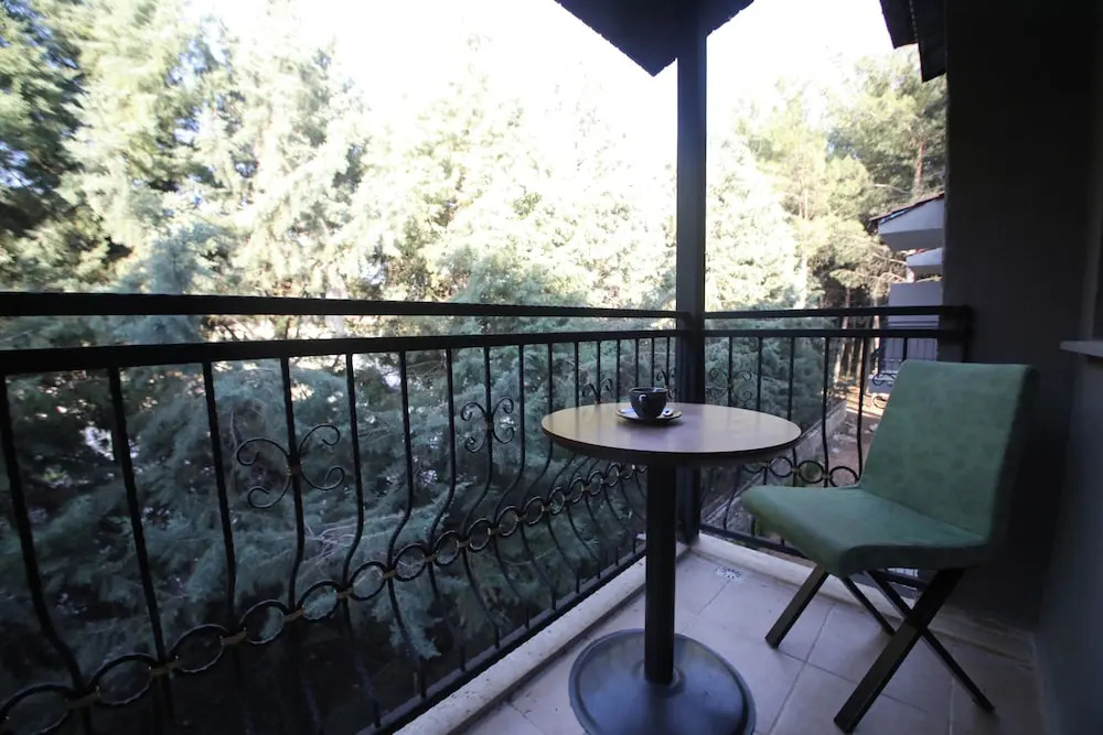 Balcony & Terrace