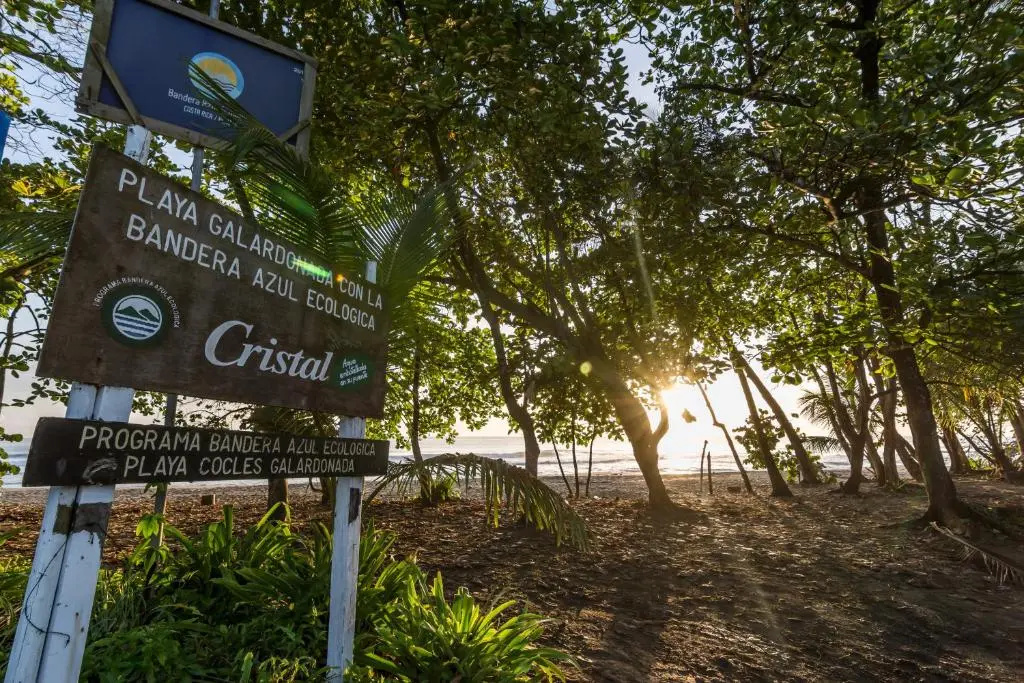 Cariblue Beach And Jungle Resort