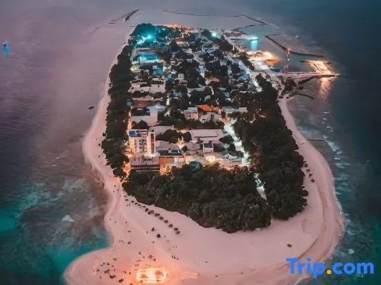 Near to Beach I Triple Room + Free Breakfast