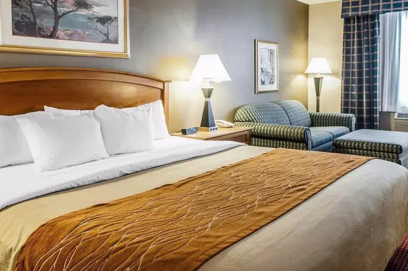 Comfort Inn & Suites I-25 Near Spaceport America - Général