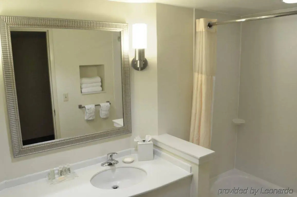 Delta Hotels by Marriott Norfolk Airport - Général