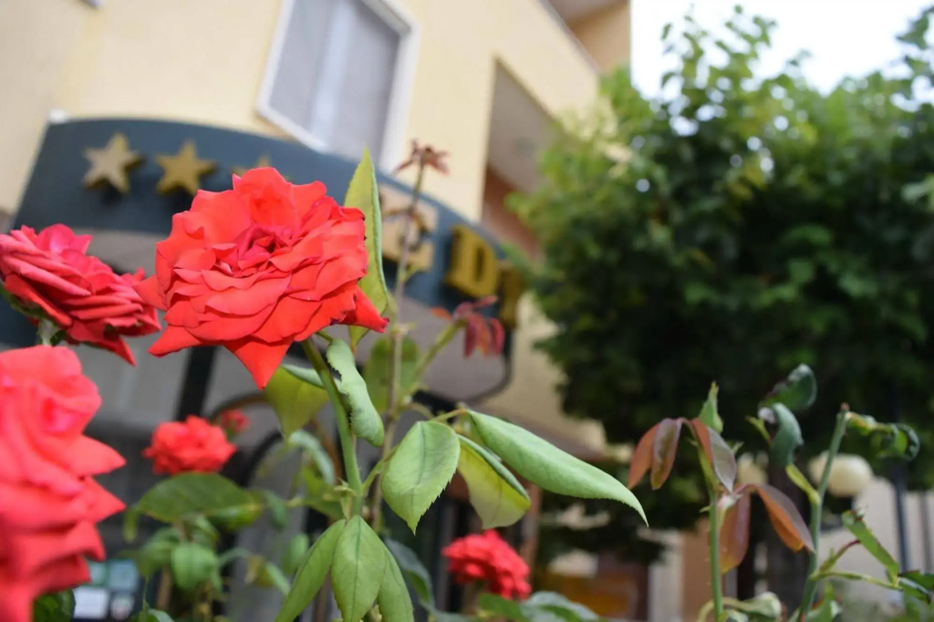 Hotel photo 14