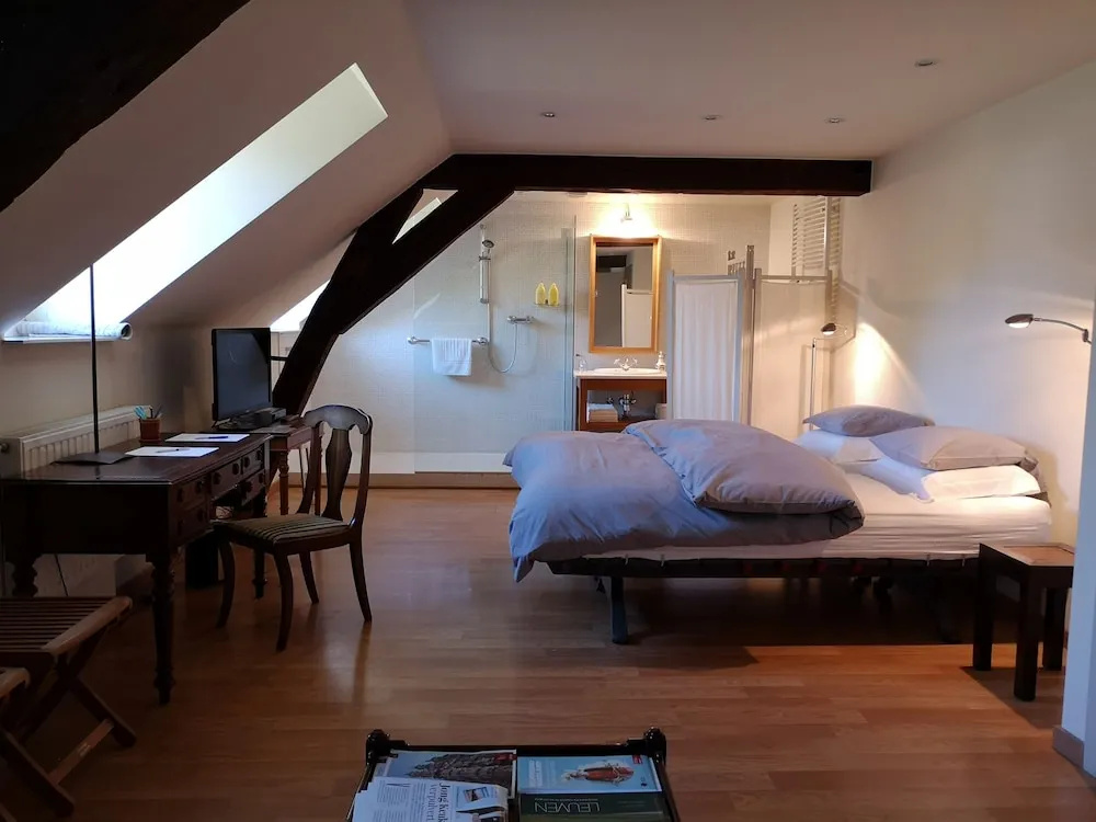 Comfort Double room with garden view (full double bed)