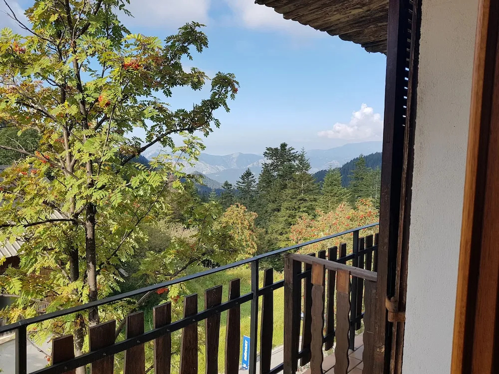 Balcony & Terrace