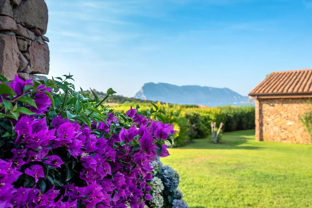 3 bedrooms appartement at San Teodoro 200 m away from the beach with sea view and furnished garden