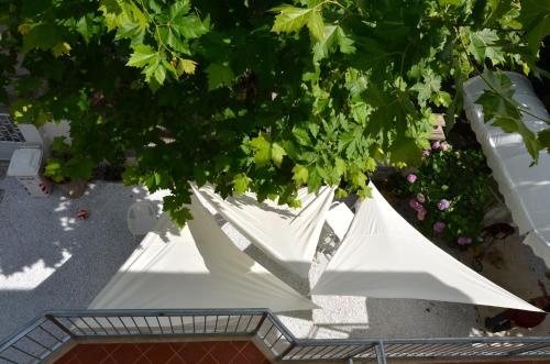 Balcony & Terrace