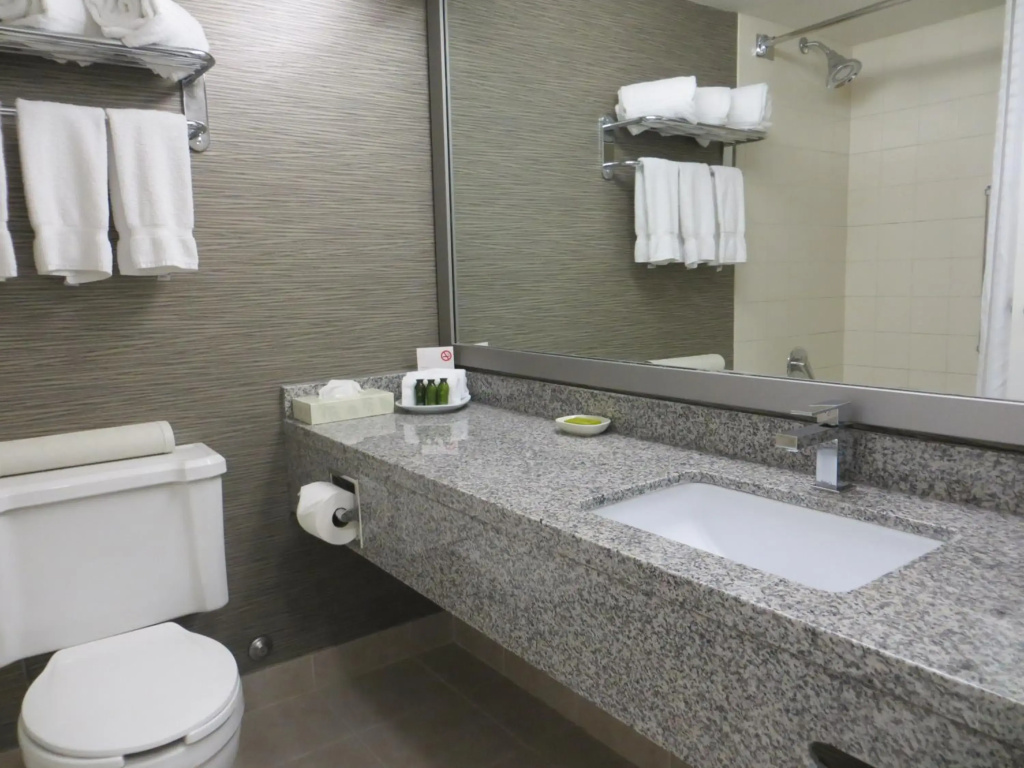 Toronto Don Valley Hotel and Suites - Général