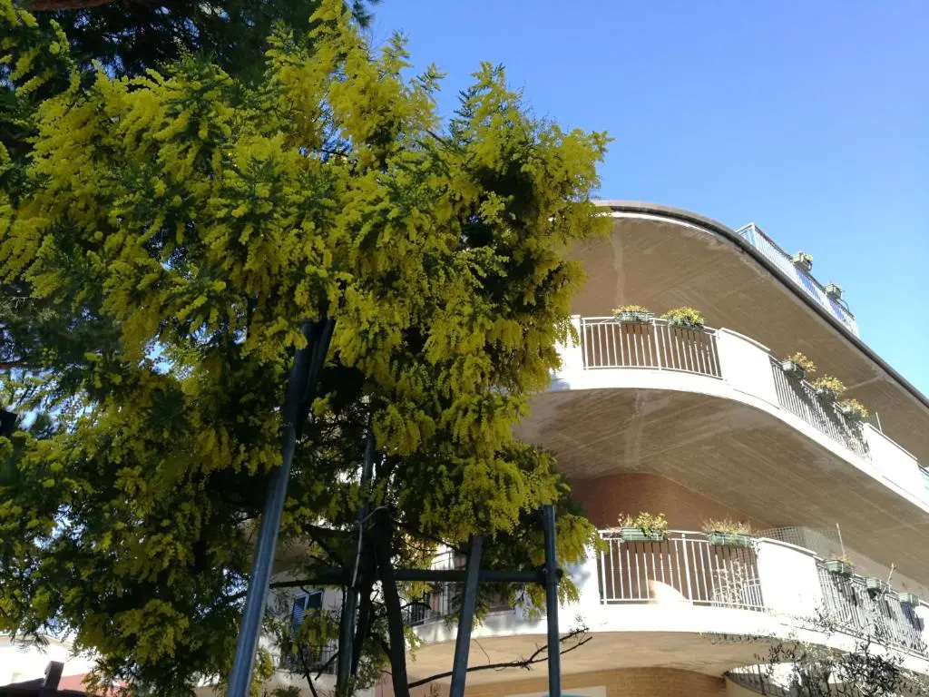 Standard Apartment