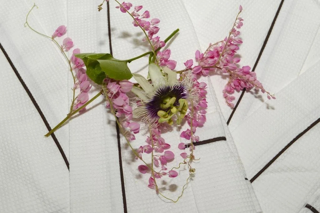 Vine Cottages Adults Only