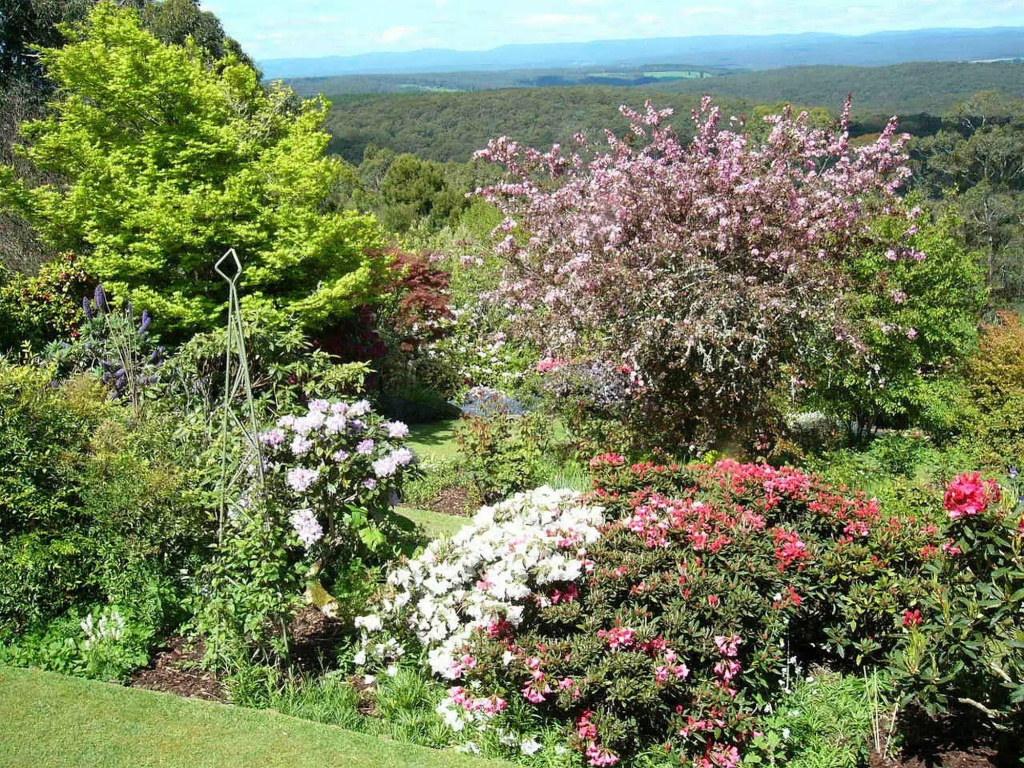 Wanawong Retreat - Général