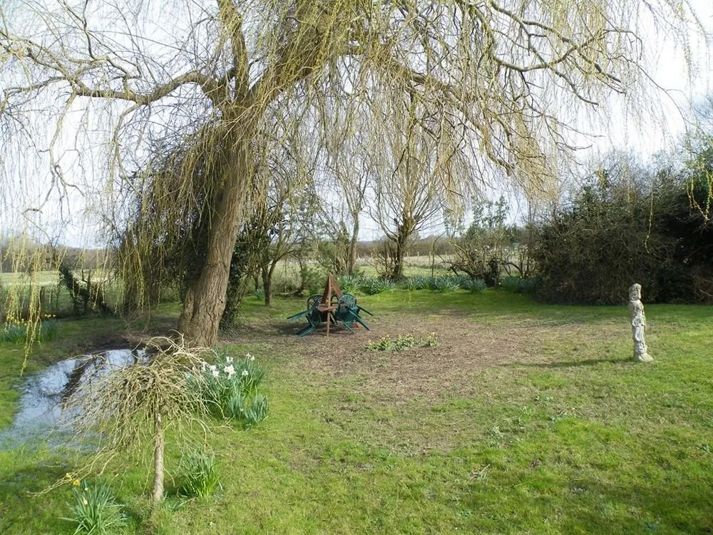 The White Cottage