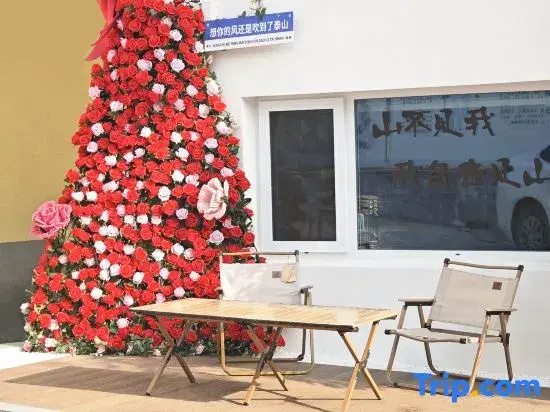 Tai'an Taicheng Courtyard Homestay (Taishan Hongmen Area)