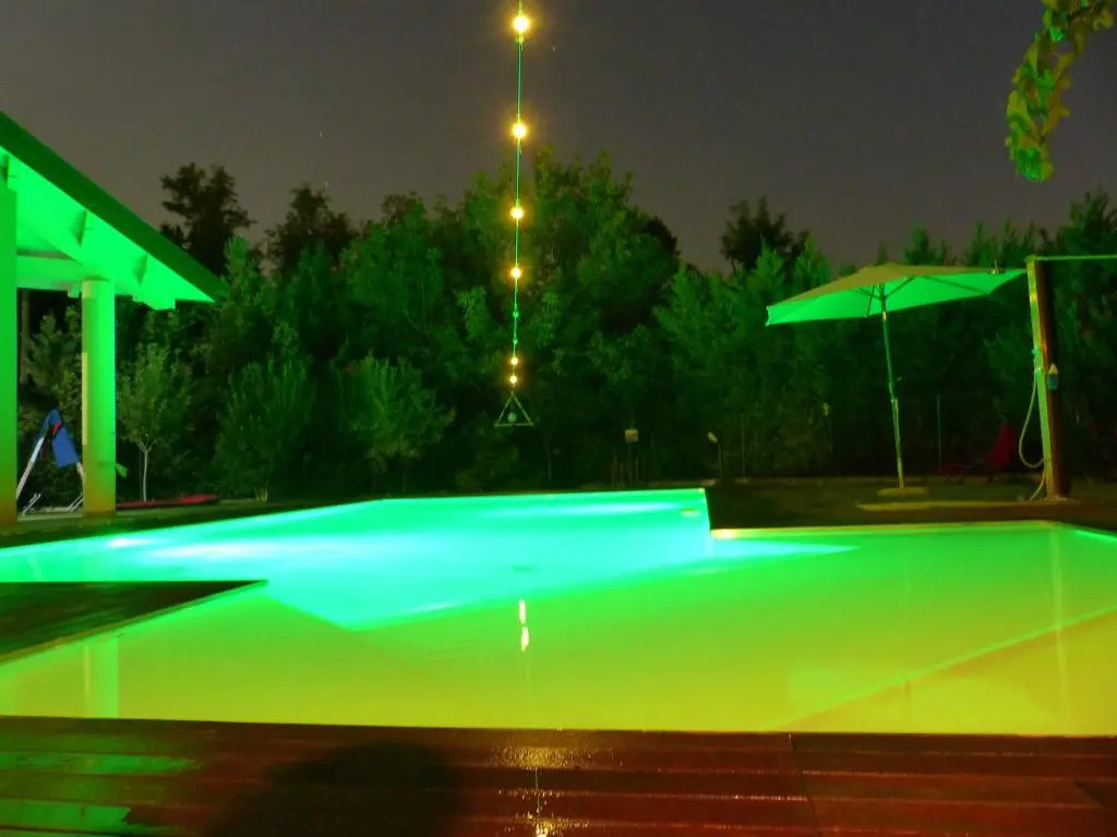 標準雙人房，泳池景，配有大床