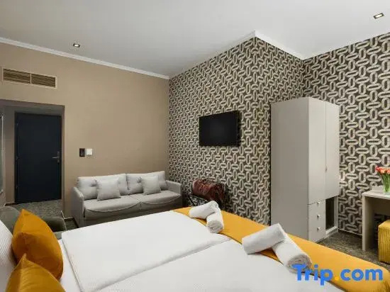 Standard Double room with city view (full double bed)