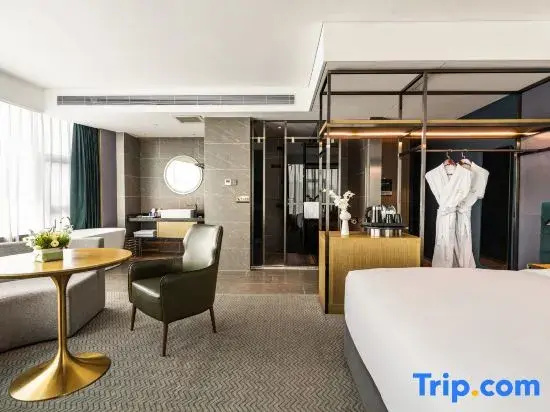 Standard Double room with city view (full double bed)