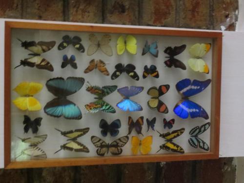 Отель Hosteria Spa Agoyan в Кулакузи