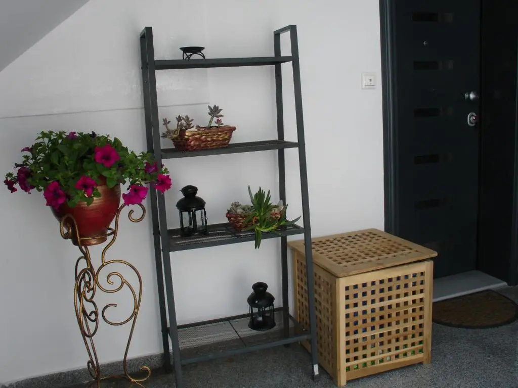 Basement Apartment