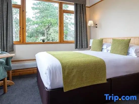 Tullamore Court Hotel - Chambres