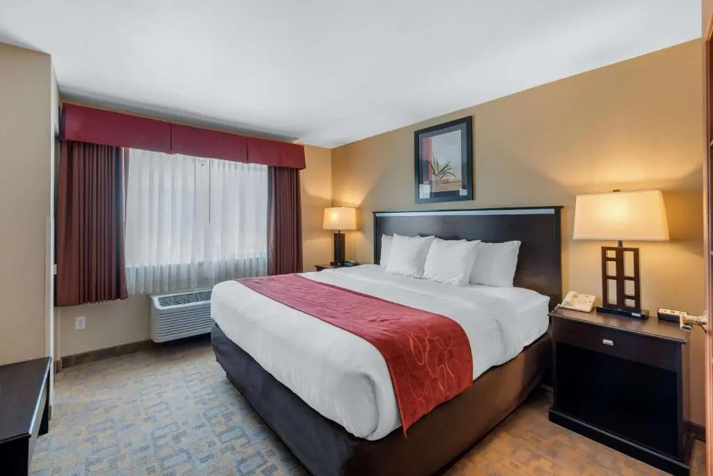 Comfort Suites Denver Tech Center - Chambres