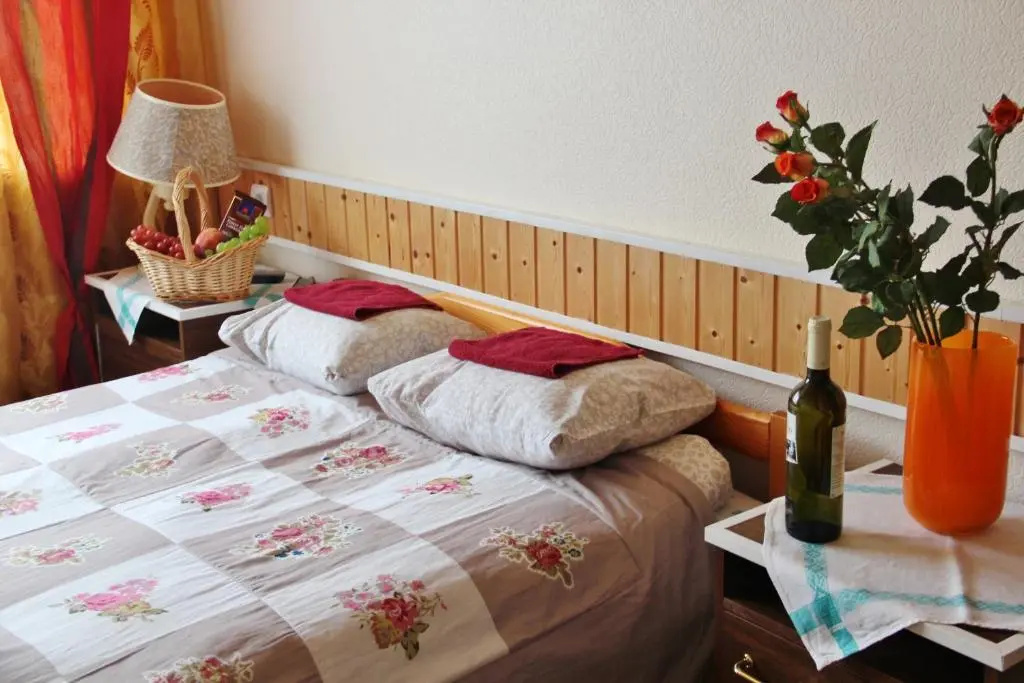 Standard Double room (full double bed)