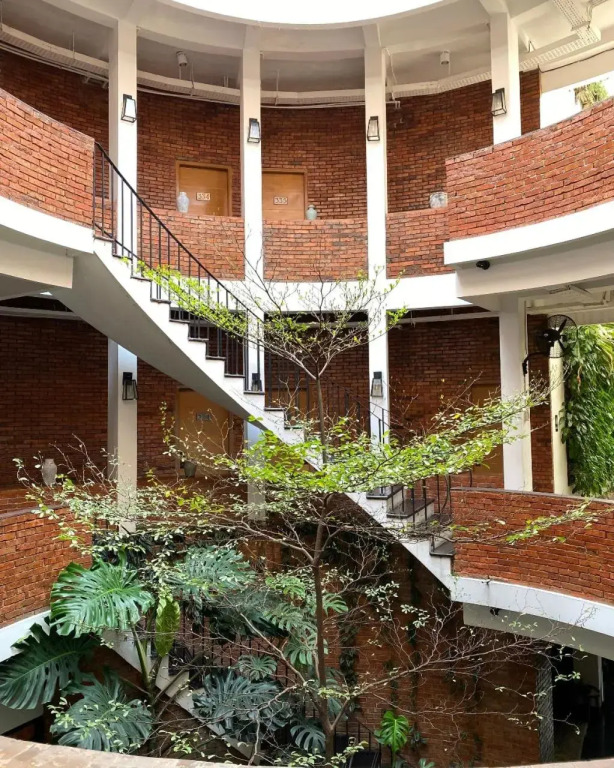 Image 11
