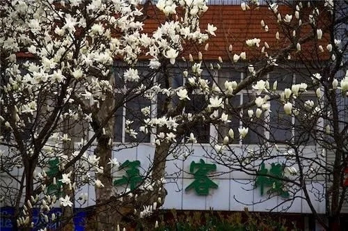Yi Ju Hostel- Qingdao