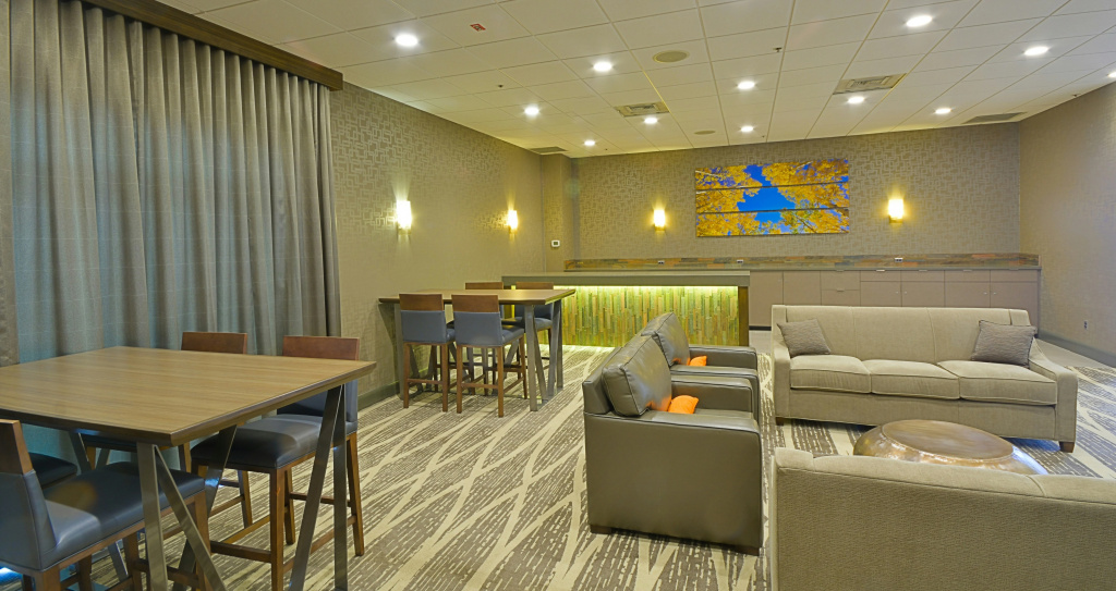 Embassy Suites by Hilton Denver Central Park - Général