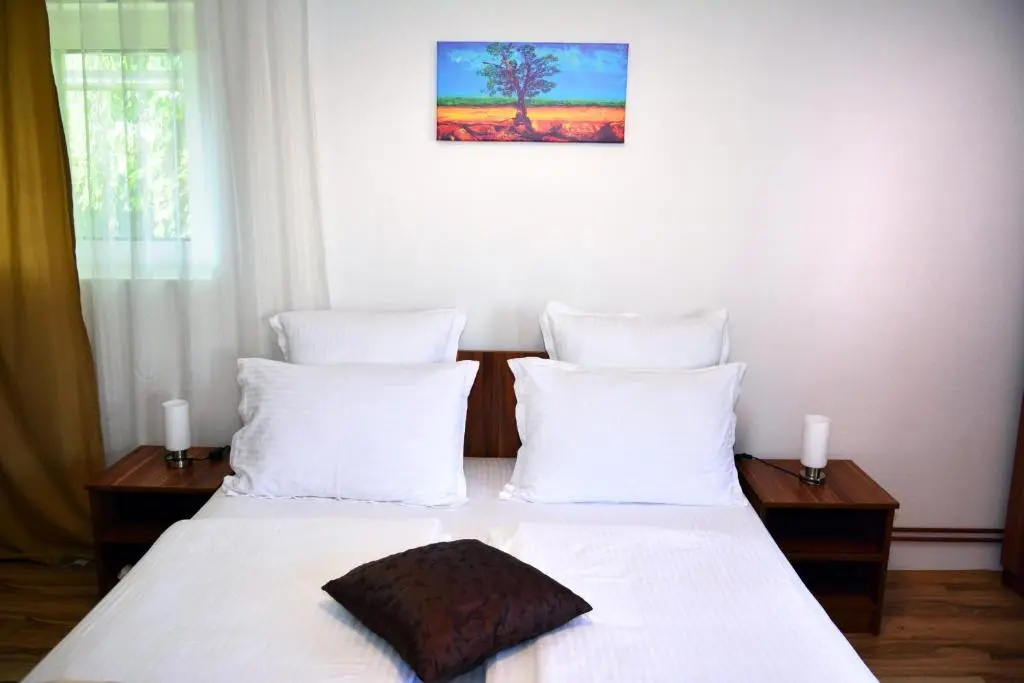 Pensiunea Anita - Chambres