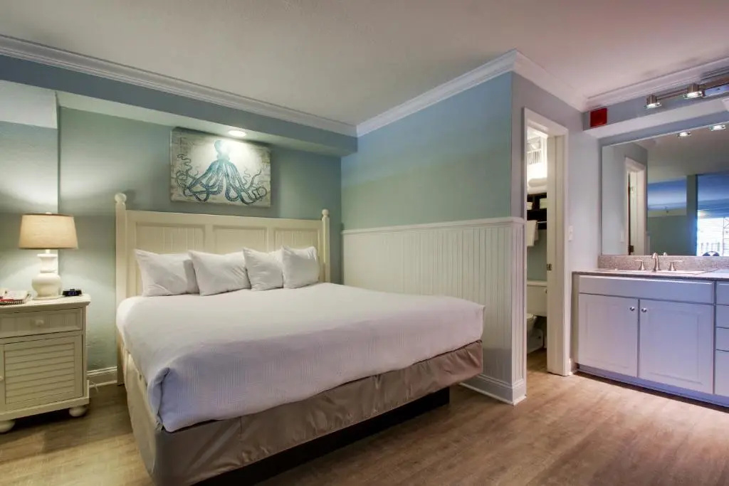 Standard Double room (full double bed)
