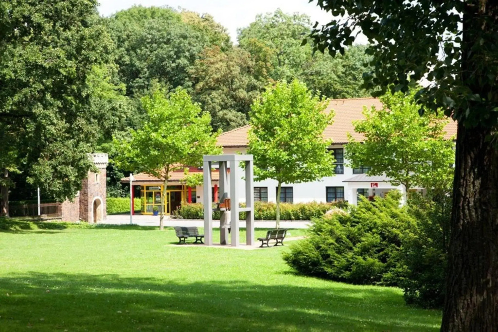 Image 11