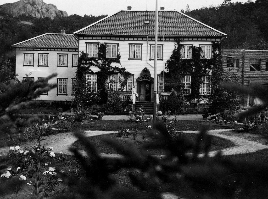 Hald Pension by null