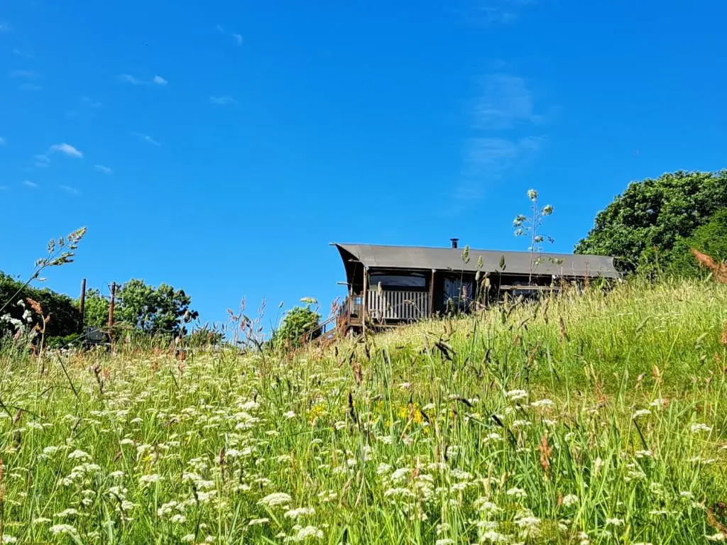 Brackenhill Glamping - Safari Tent with Hot Tub